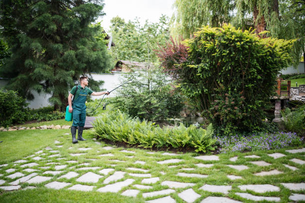 Best Ant Control Services  in Evansville, WI
