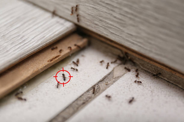 Best Emergency Pest Control  in Evansville, WI