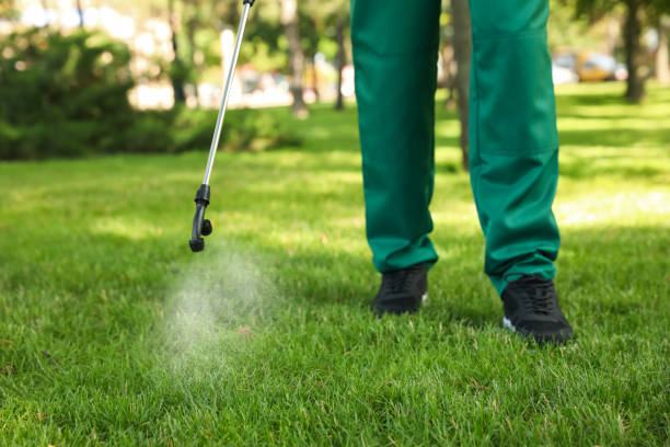 Best Termite Control Services  in Evansville, WI