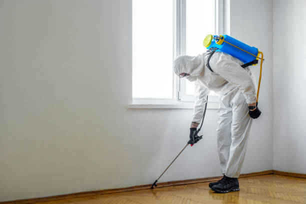 Best Wasp Removal Services  in Evansville, WI