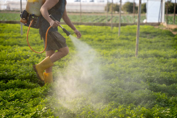 Best Pest Inspection Near Me  in Evansville, WI