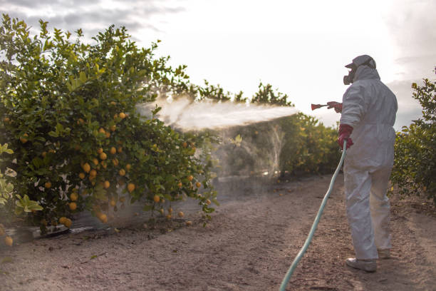 Best Pest Inspection Near Me  in Evansville, WI
