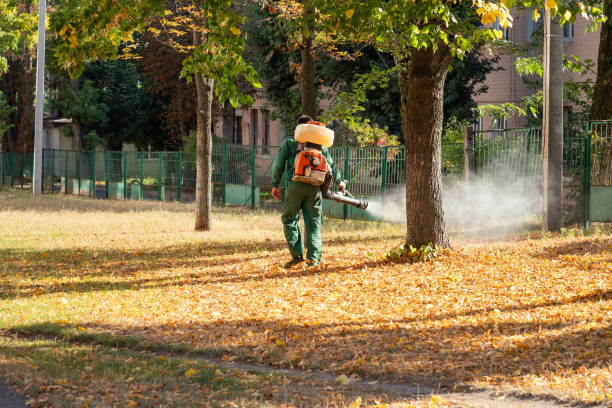 Best Best Pest Control Companies  in Evansville, WI