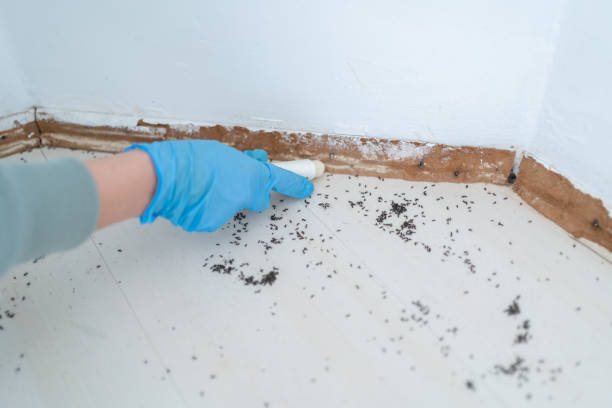 Best Wildlife Control Services  in Evansville, WI