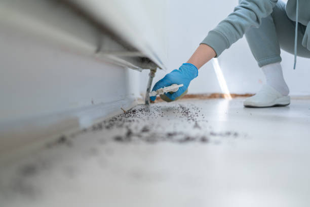 Best Bed Bug Extermination  in Evansville, WI